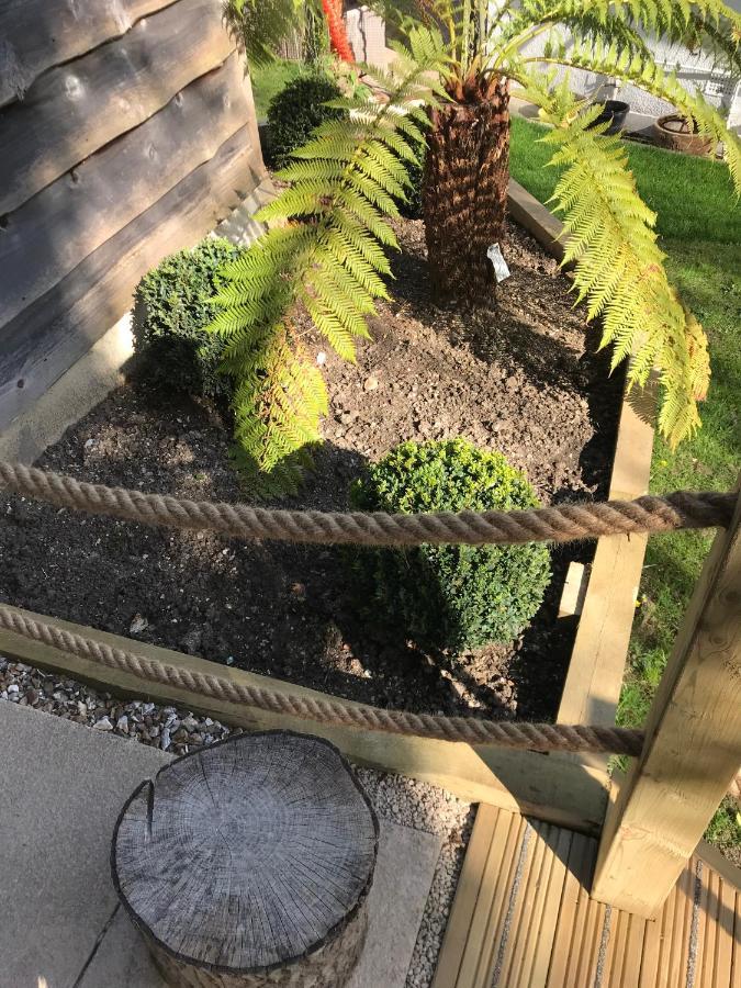Winnie'S Corner - Self Contained Within The Grounds Of Another Property, In An Idyllic Wooded Setting Carlyon Bay Εξωτερικό φωτογραφία